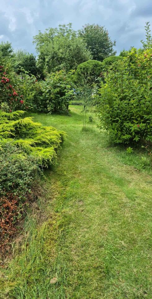 Działka rod Rybnik Maroko-Nowiny, ul. Franciszka Pilarczyka. Zdjęcie 5