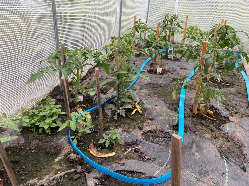 Działka rod Wrocław, ul. Konduktorska. Zdjęcie 2