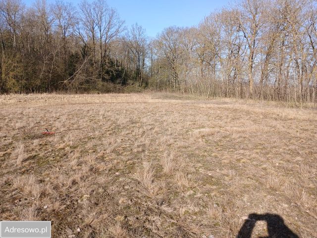 Działka rolna Głażewo. Zdjęcie 1