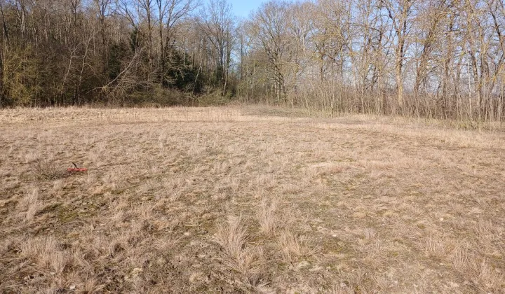 Działka rolna Głażewo