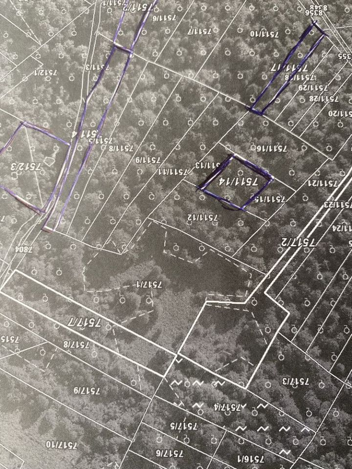 Działka leśna Grzechynia. Zdjęcie 5