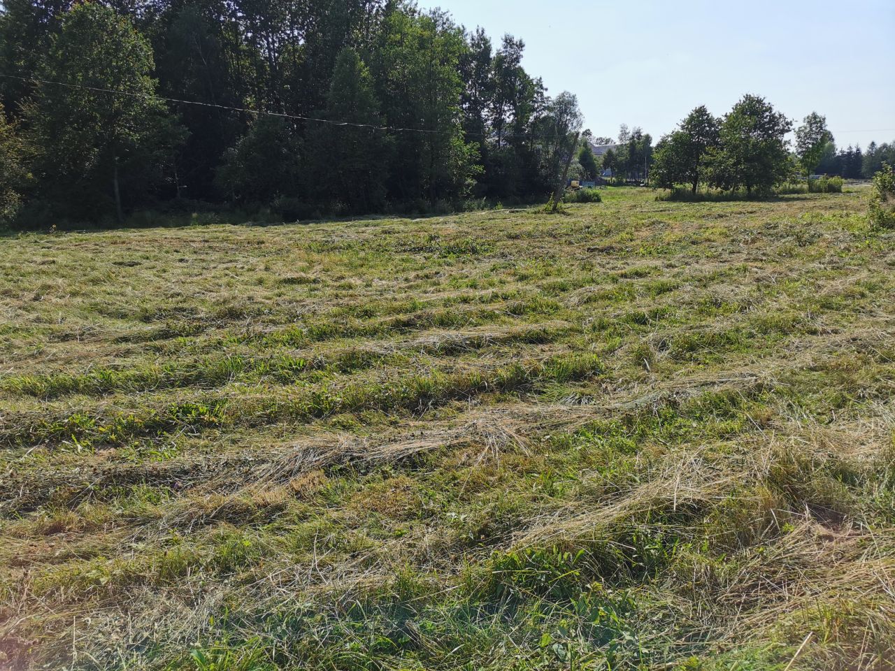 Działka rolno-budowlana Kobyle Kącina. Zdjęcie 5