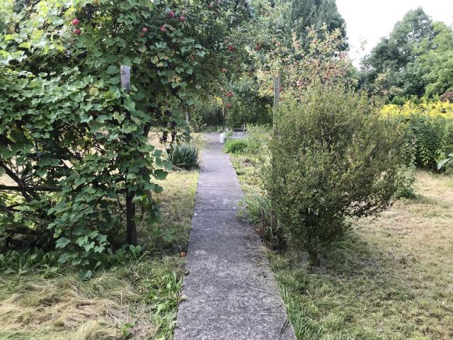 Działka rekreacyjna Opole Śródmieście, ul. Kazimierza Sosnkowskiego. Zdjęcie 1