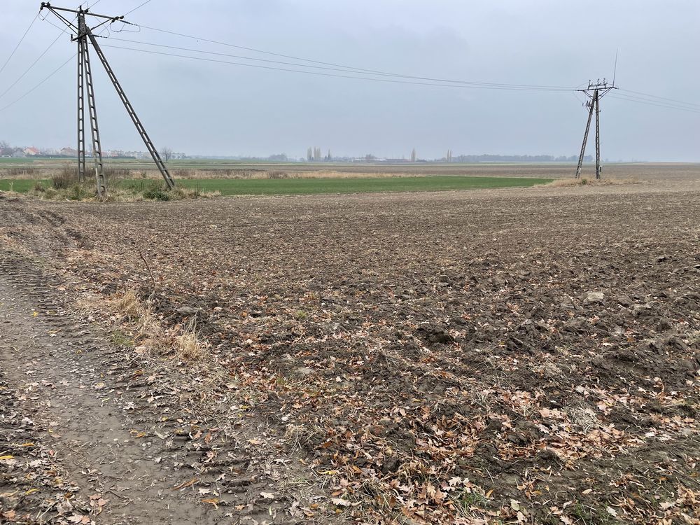 Działka budowlana Budziszów Wielki. Zdjęcie 7