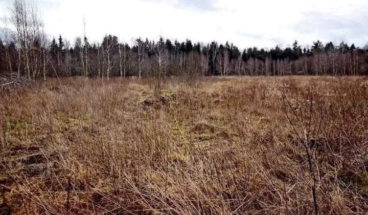 Działka rolna Ciasne