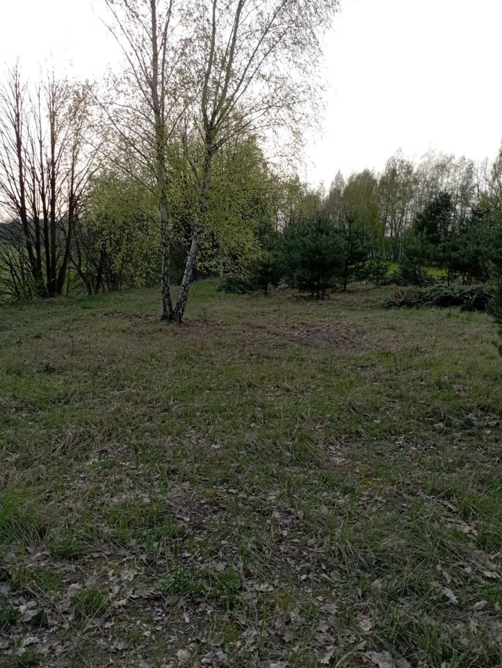 Działka Burlaki. Zdjęcie 2