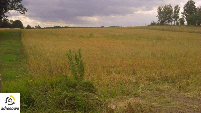 Działka rolna Tynwałd Jezierzyce. Zdjęcie 1
