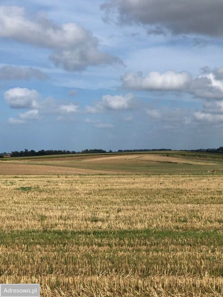 Działka budowlana Łekno. Zdjęcie 3