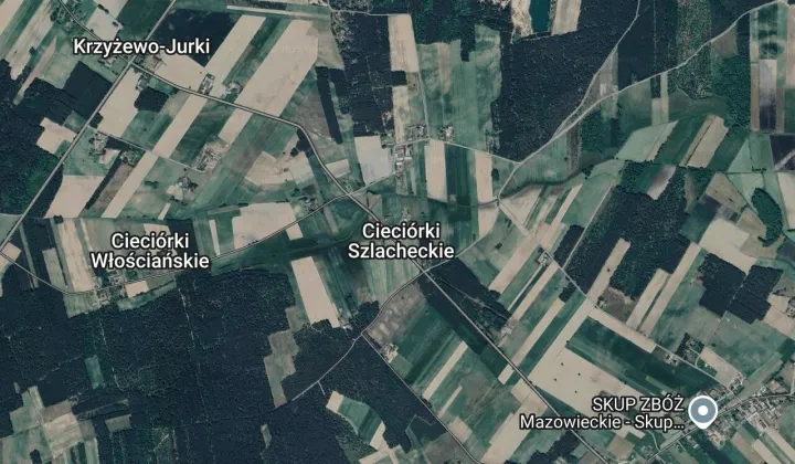 Działka rolna Cieciórki Szlacheckie