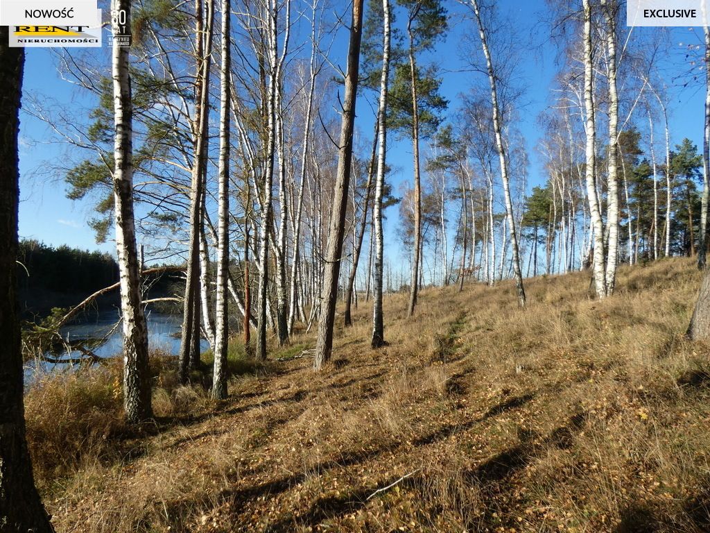 Działka rekreacyjna Krzywnica. Zdjęcie 3