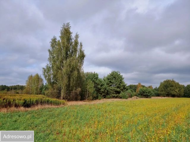 Działka budowlana Szamocin. Zdjęcie 1