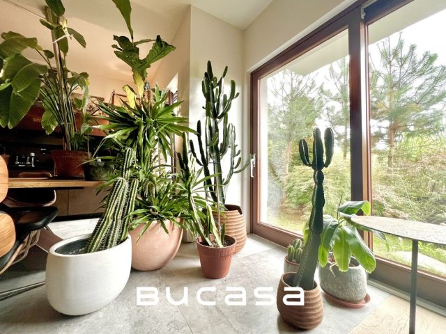 Mieszkanie 3-pokojowe Kraków Zwierzyniec, ul. Józefa Korzeniowskiego. Zdjęcie 14