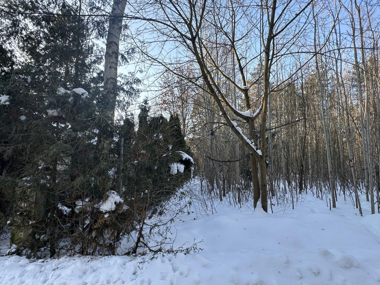 Działka budowlana Nowe Grobice, ul. Graniczna. Zdjęcie 9