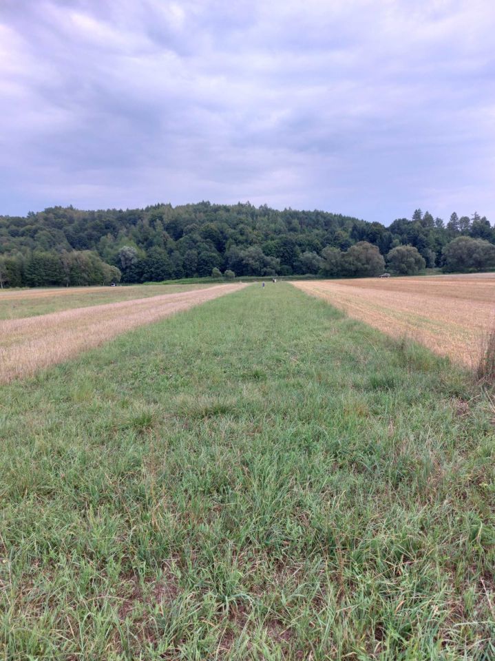 Działka rolna Sielnica. Zdjęcie 4