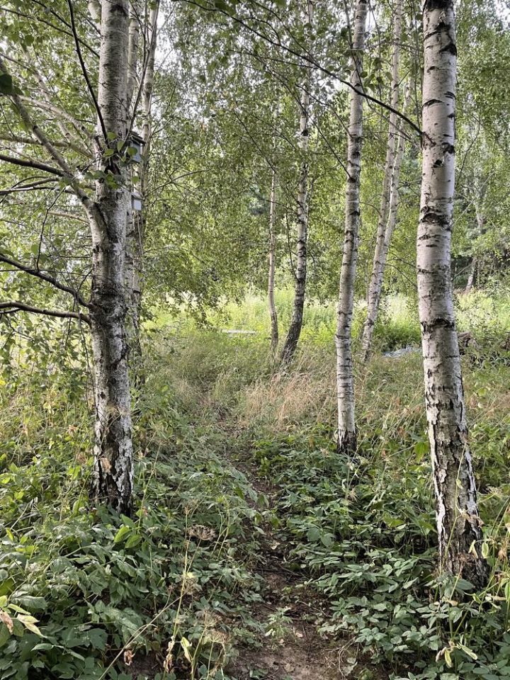 Działka budowlana Krzyworzeka. Zdjęcie 4