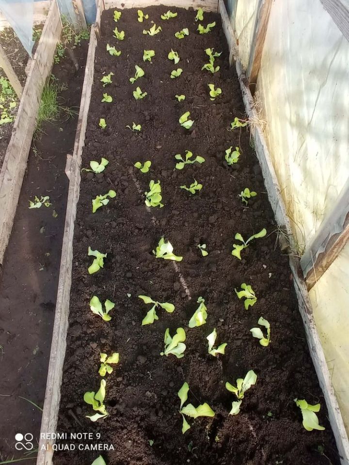 Działka rod Giżycko. Zdjęcie 4