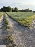 Działka siedliskowa Parole, ul. Kuropiecka. Zdjęcie 4