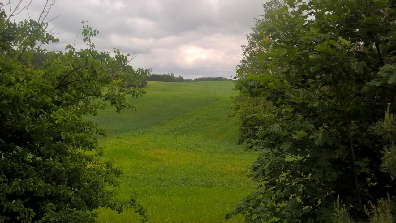 Działka rekreacyjna Stare Juchy, ul. Mazurska. Zdjęcie 9