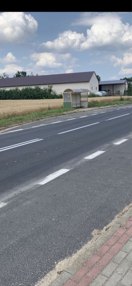 Działka rolno-budowlana Dąbrowa. Zdjęcie 2