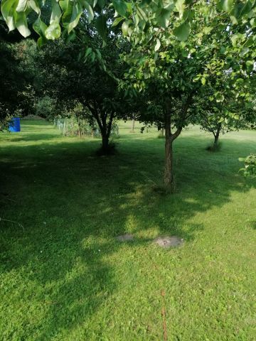 Działka rolno-budowlana Drużbice-Kolonia. Zdjęcie 3