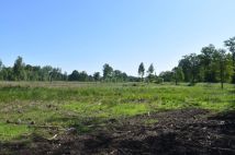 Działka inwestycyjna Chełm Żarski. Zdjęcie 1