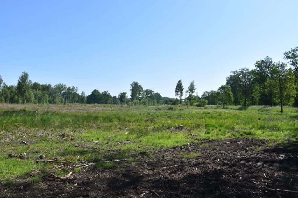 Działka inwestycyjna Chełm Żarski. Zdjęcie 2