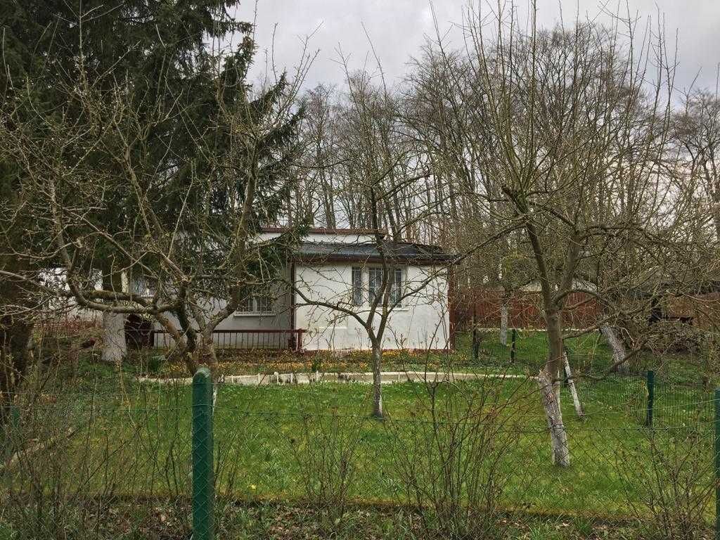 Działka rod Szczecin Skarbówek. Zdjęcie 3