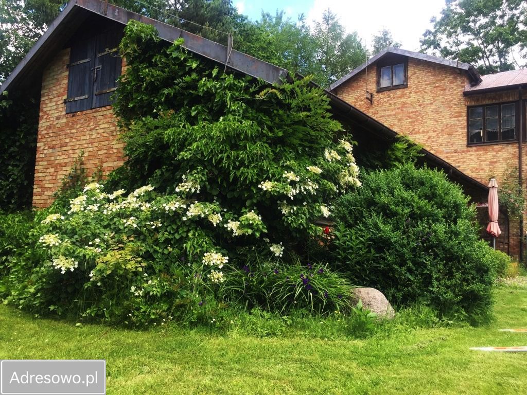 dom wolnostojący, 8 pokoi Kępa. Zdjęcie 5