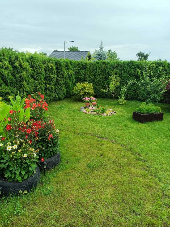 Działka rod Międzychód. Zdjęcie 2