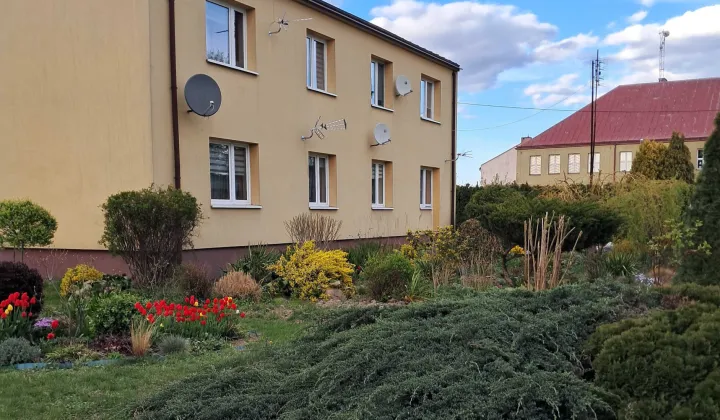 Mieszkanie 2-pokojowe Czerwińsk nad Wisłą