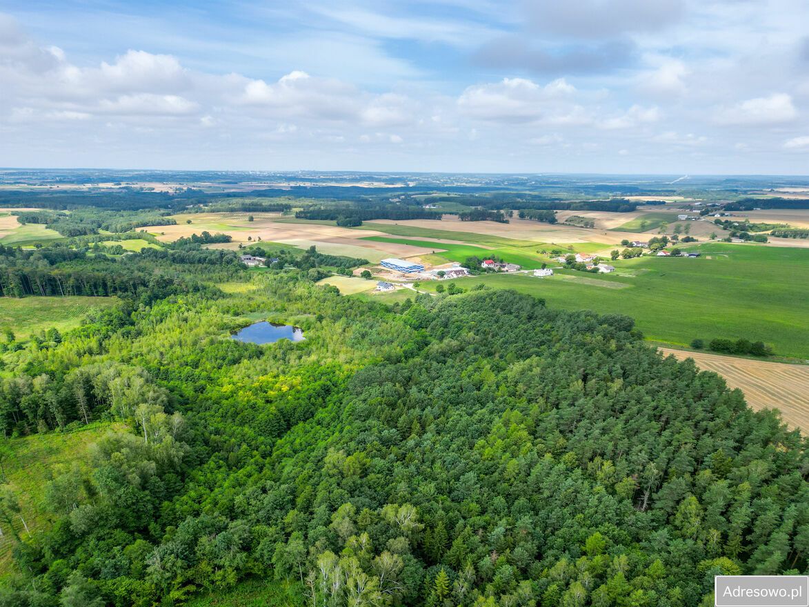 Działka rolno-budowlana Lorki. Zdjęcie 9