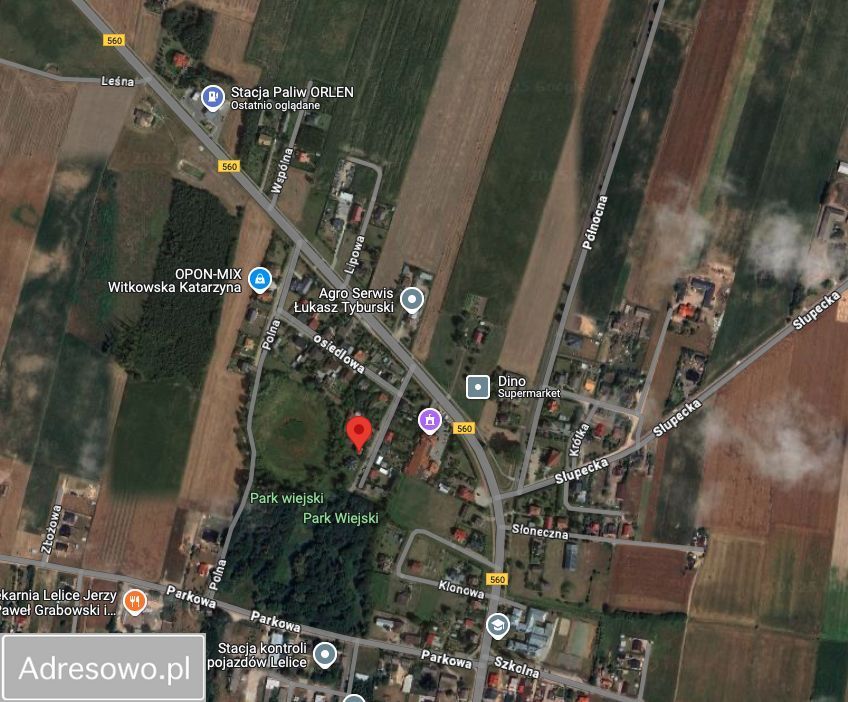 dom wolnostojący, 5 pokoi Lelice, ul. Zielona. Zdjęcie 6