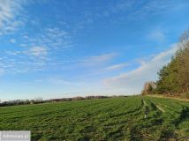 Działka budowlana Rozalin. Zdjęcie 2