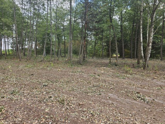 Działka budowlana Żanęcin, ul. Gościniec. Zdjęcie 8