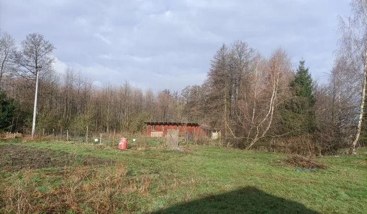 Działka siedliskowa Milejewo