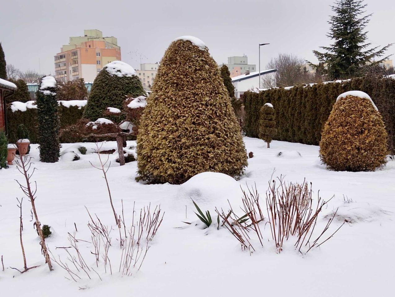 Działka rod Grudziądz Lotnisko, ul. Polskich Skrzydeł. Zdjęcie 3