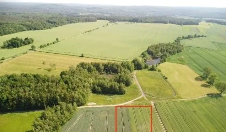 Działka siedliskowa Ostrowiec