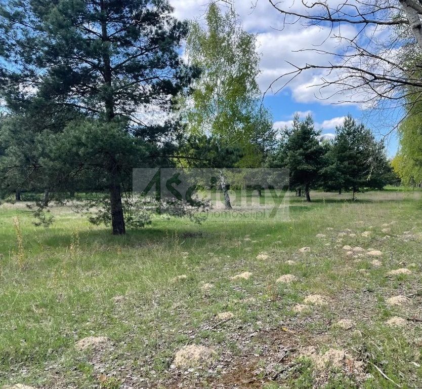 Działka budowlana Ojrzanów. Zdjęcie 2