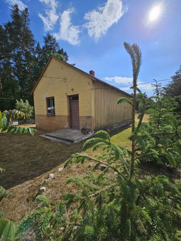 gospodarstwo Ewelinów. Zdjęcie 2