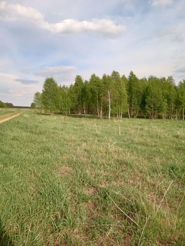 Działka budowlana Ploski. Zdjęcie 12