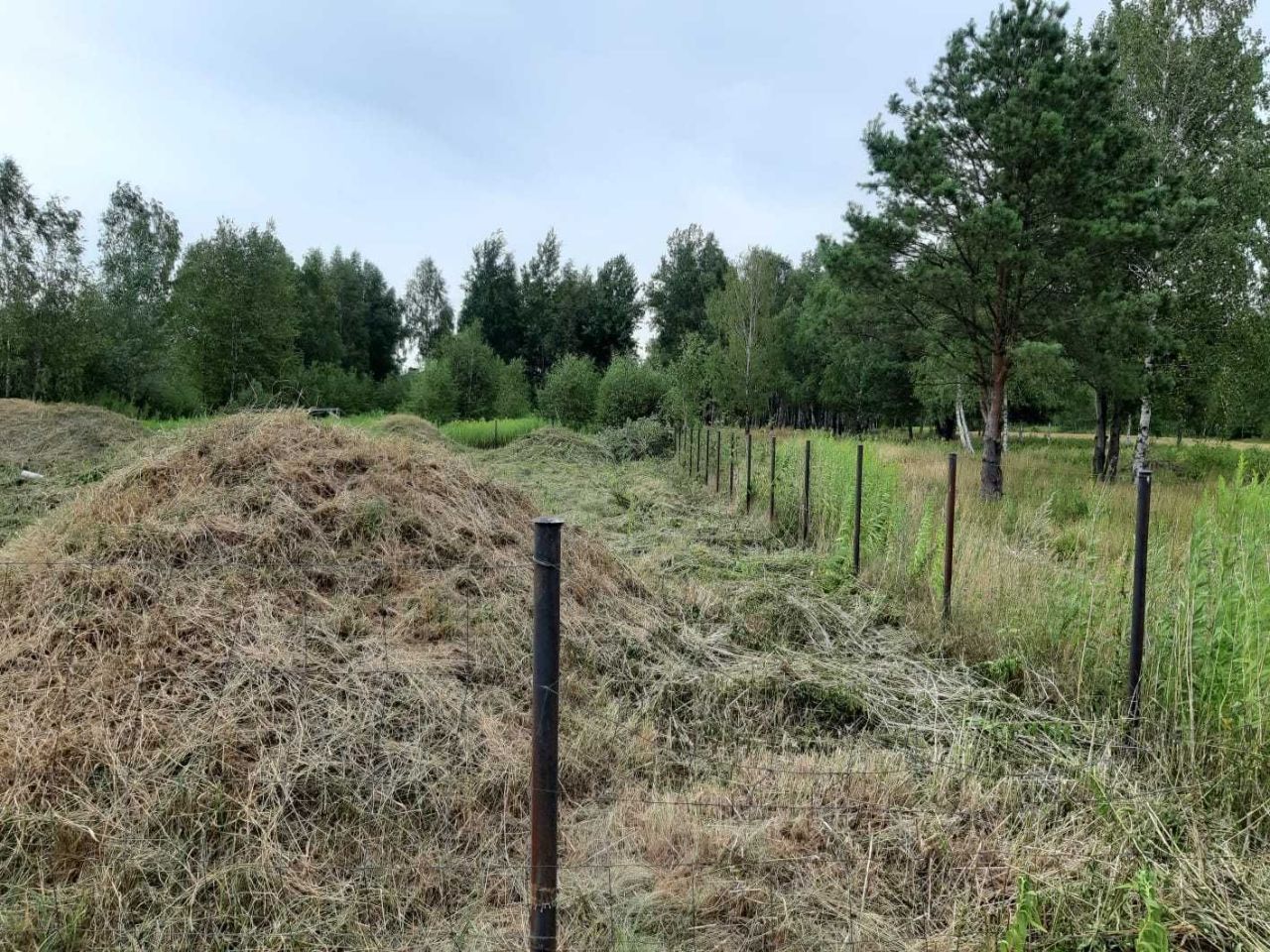 Działka budowlana Kąck, ul. Myśliwska. Zdjęcie 8