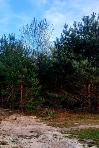 Działka budowlana Bojanów, ul. Rzeszowska. Zdjęcie 7