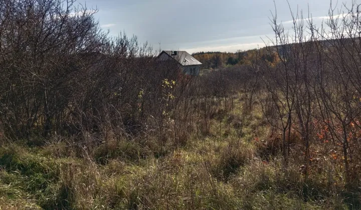 Działka budowlana Starachowice Michałów Górny, ul. Wschodnia