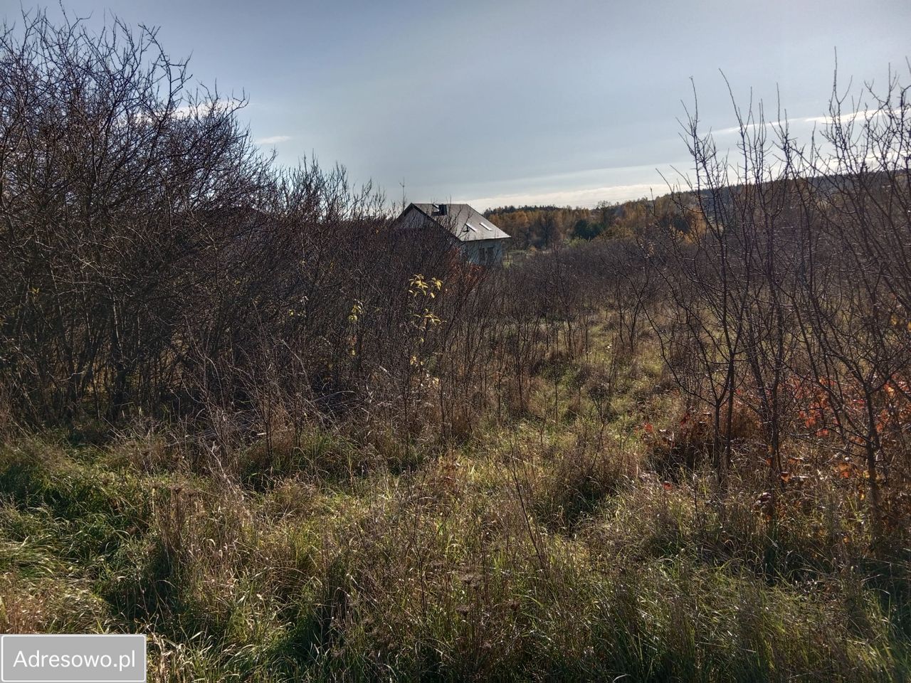 Działka budowlana Starachowice Michałów Górny, ul. Wschodnia