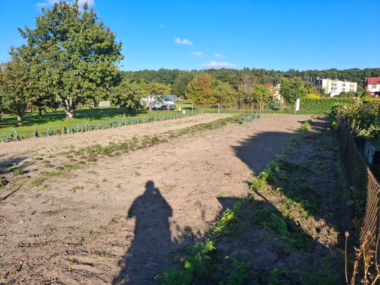 Działka rod Świerzno. Zdjęcie 4