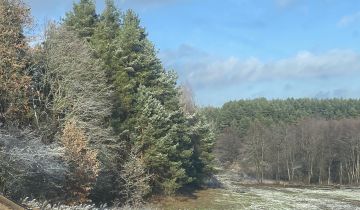 Działka rolno-budowlana Studzianki, ul. Polonijna