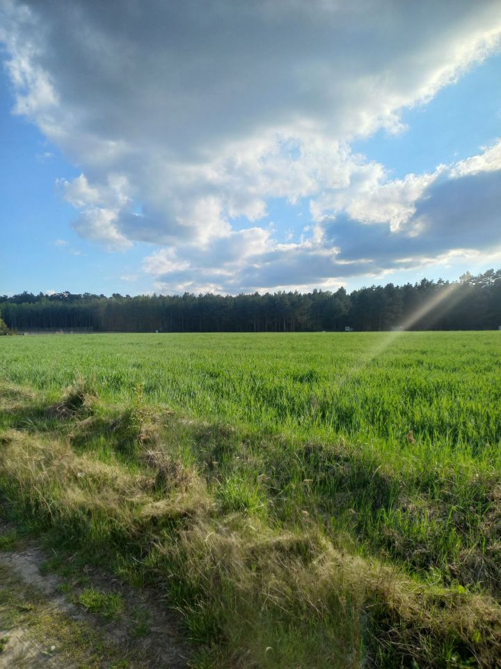 Działka budowlana Sokolniki