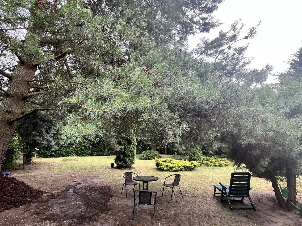 dom wolnostojący, 6 pokoi Mosina, ul. Chopina. Zdjęcie 16