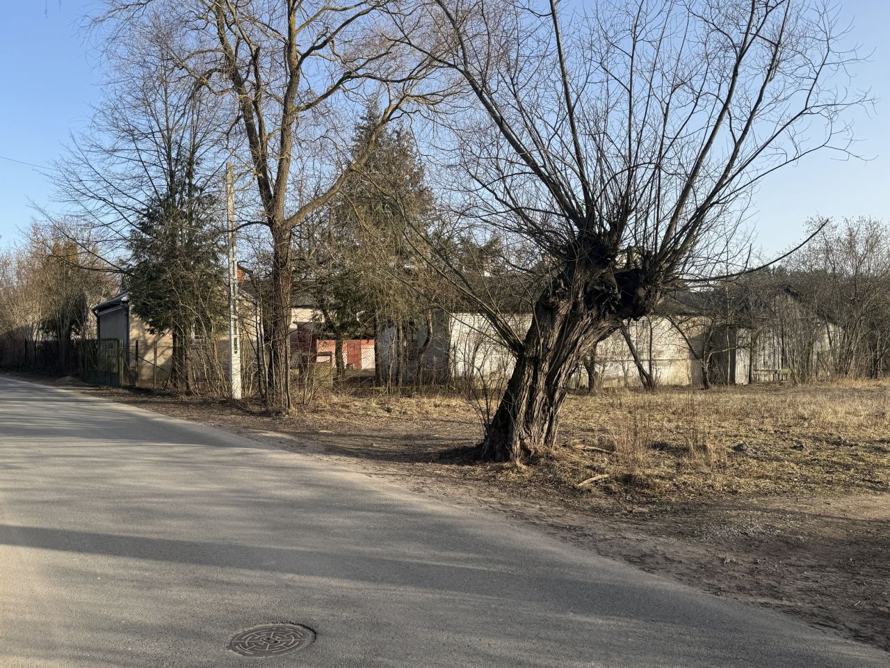 Działka siedliskowa Krzewina, Krzewina. Zdjęcie 16