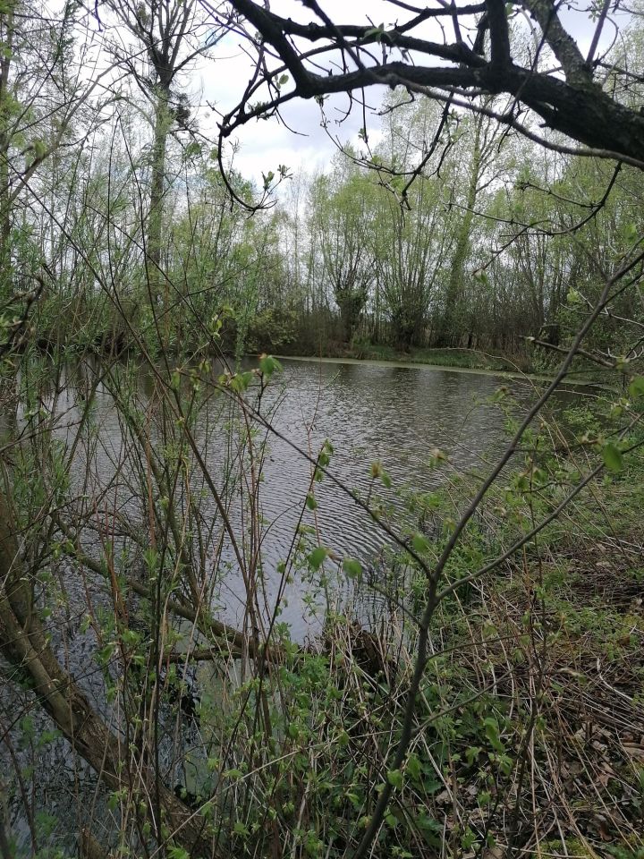 Działka budowlana Wojków. Zdjęcie 7